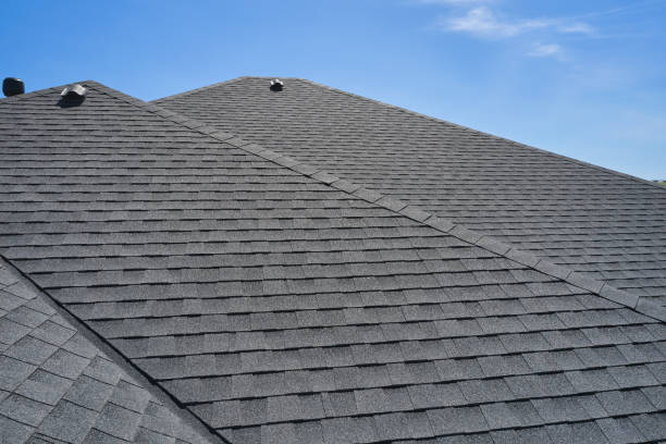 Best Rubber Roofing (EPDM, TPO)  in Vidalia, GA